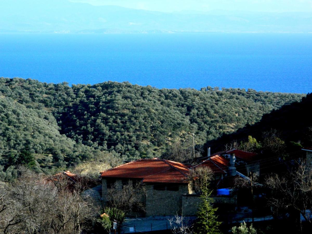 Ida Tas Konak - Housity