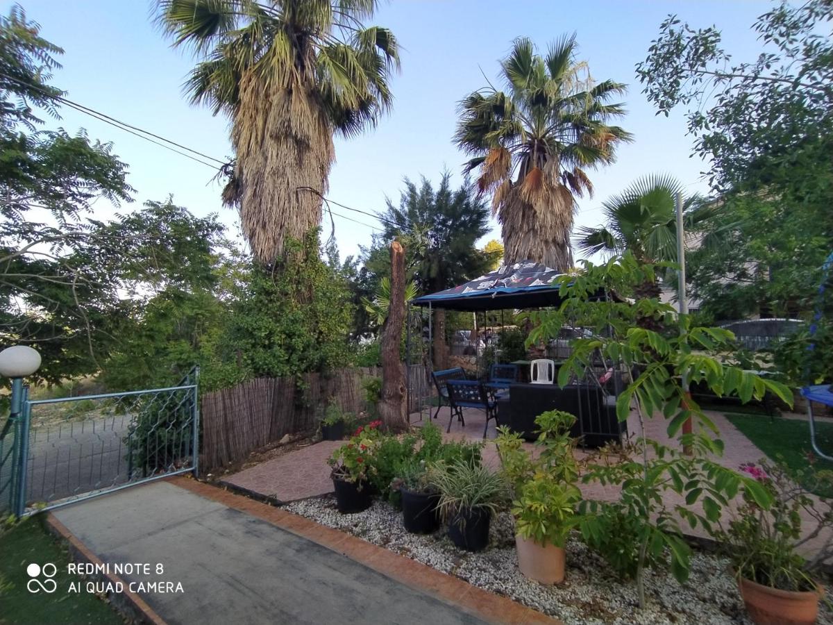 Aviv in Rosh Pina - Housity