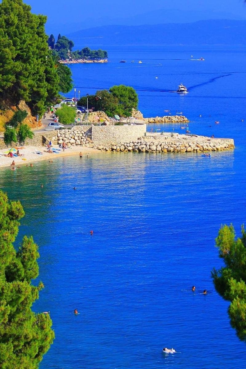 Apartment Summer - Housity