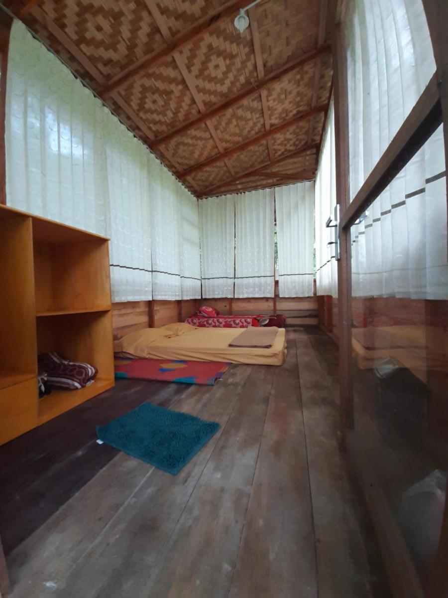 Bua Guesthouse Tangkahan - Housity