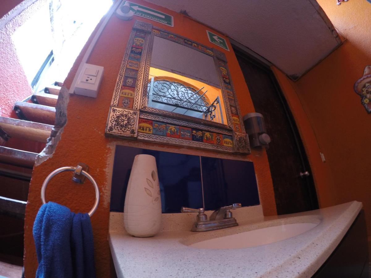 Iguana Hostel Oaxaca - Housity