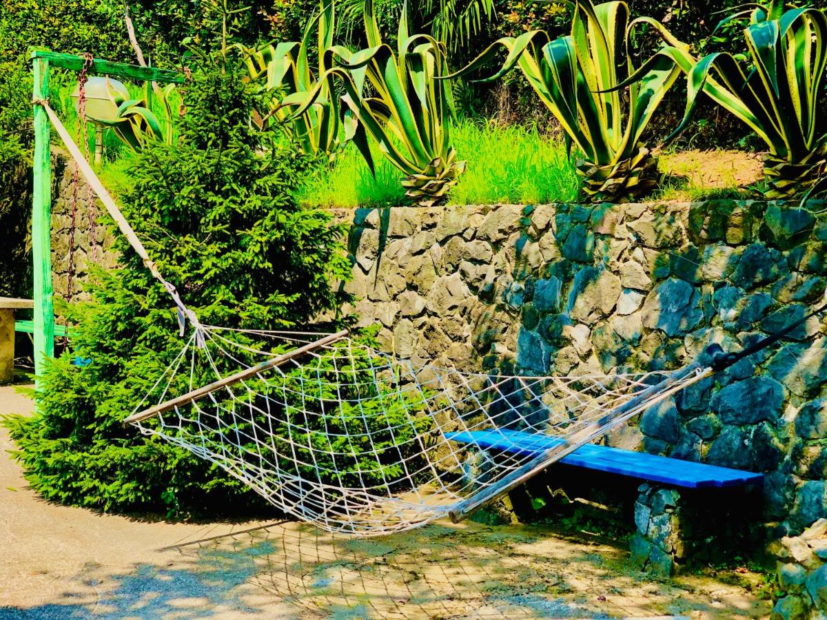 Guest House Lasha - Housity