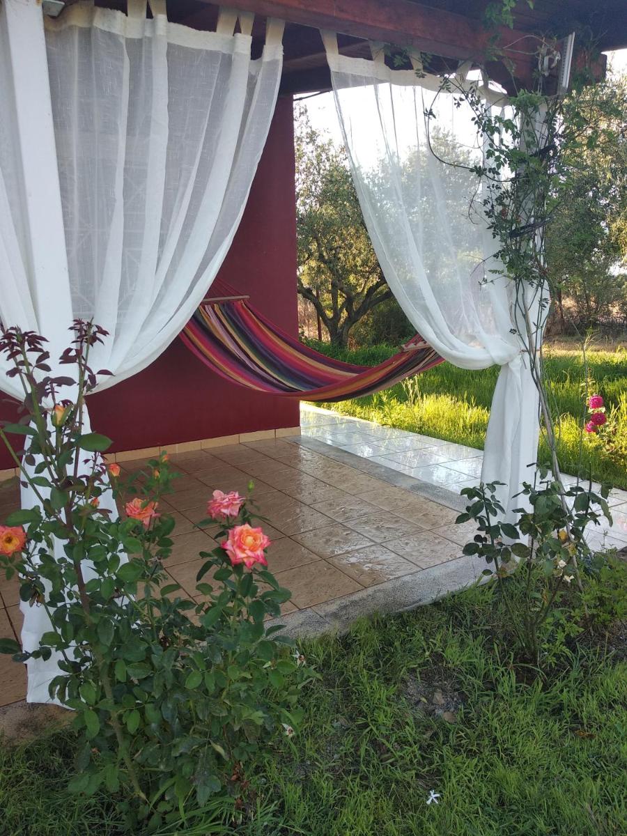 Suitetrails - Olive garden guest house