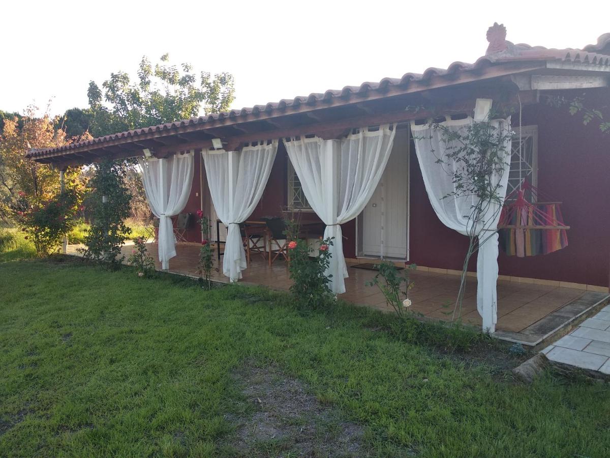 Suitetrails - Olive garden guest house