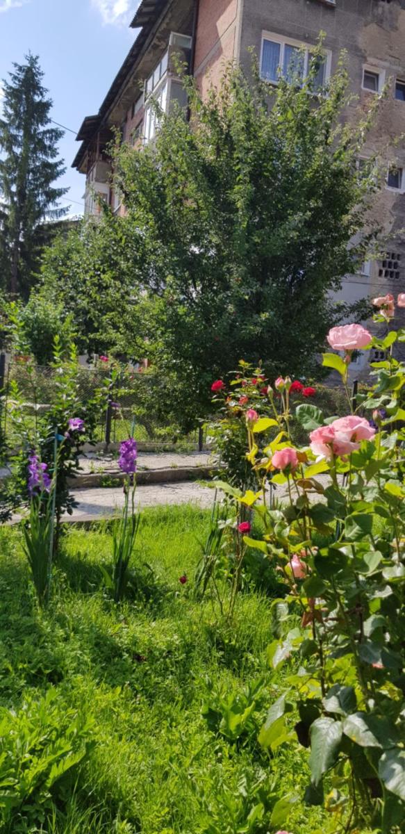 La Mihai - Housity