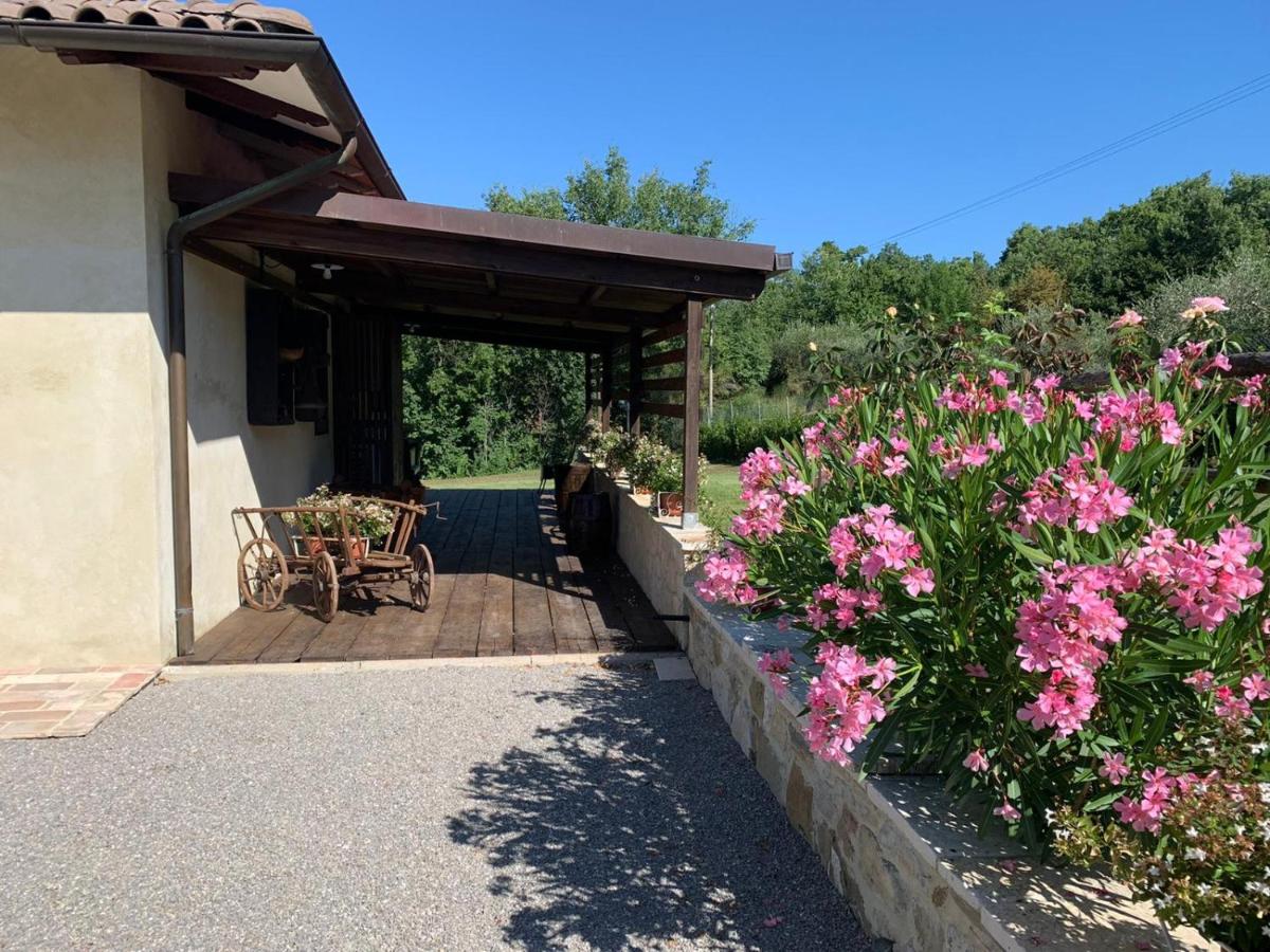 Podere Battegone - Housity