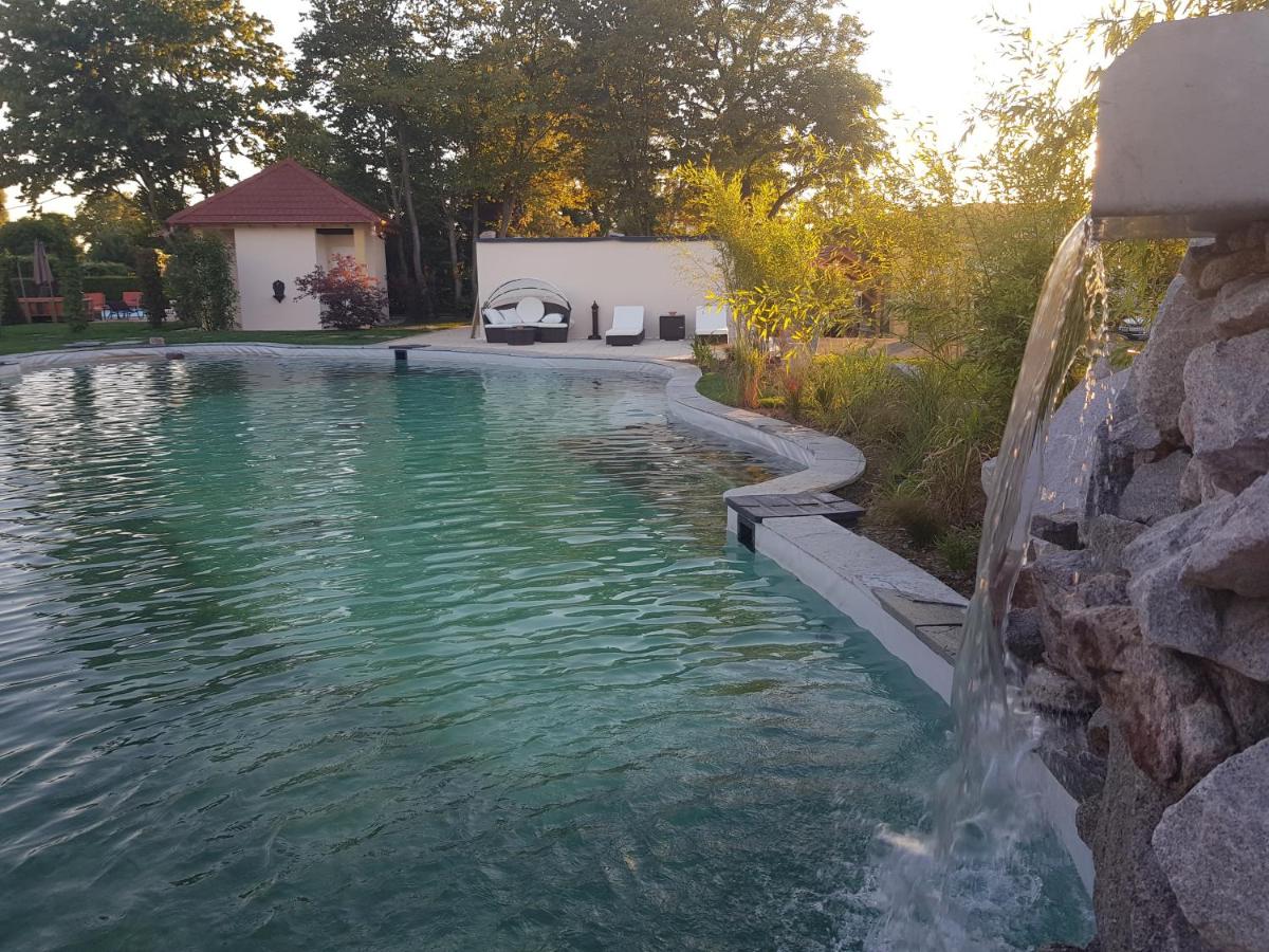 Piscine de l'établissement Hôtel du Domaine de La Grange de Condé ou située à proximité