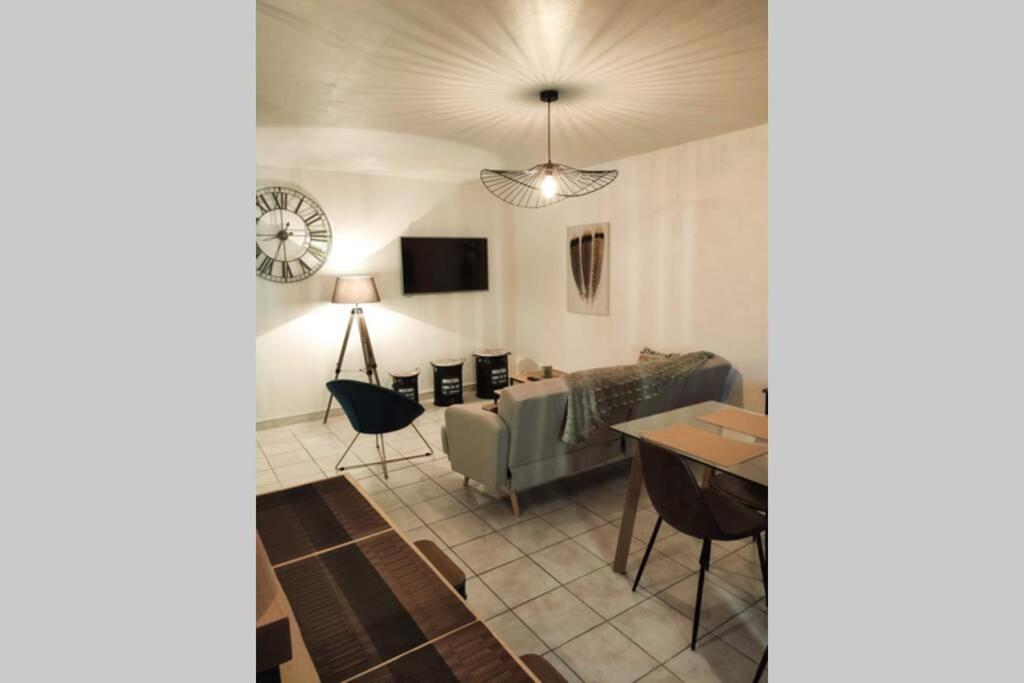 Spacieux appartement atypique - Hizvo
