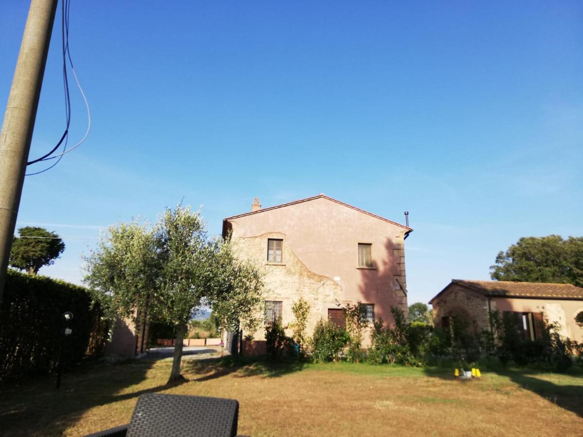 L'Aia degli olivi - Housity