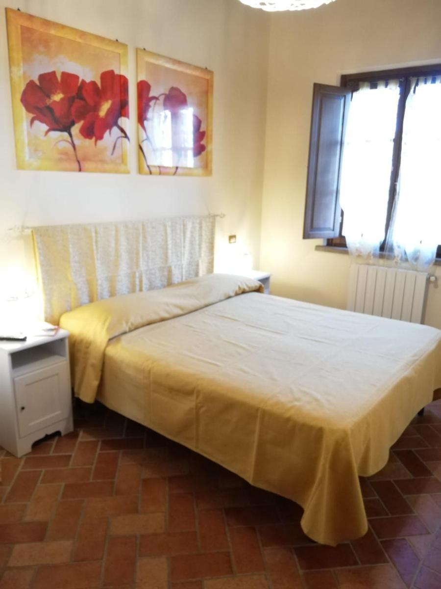 L'Aia degli olivi - Housity