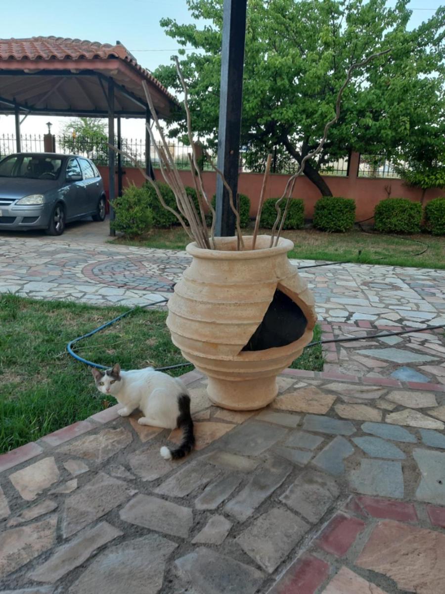 Villa Evi's - Housity