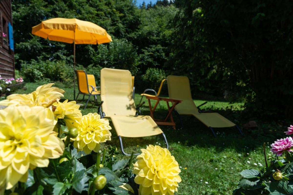 Chalet le Petit Tremplin - Housity