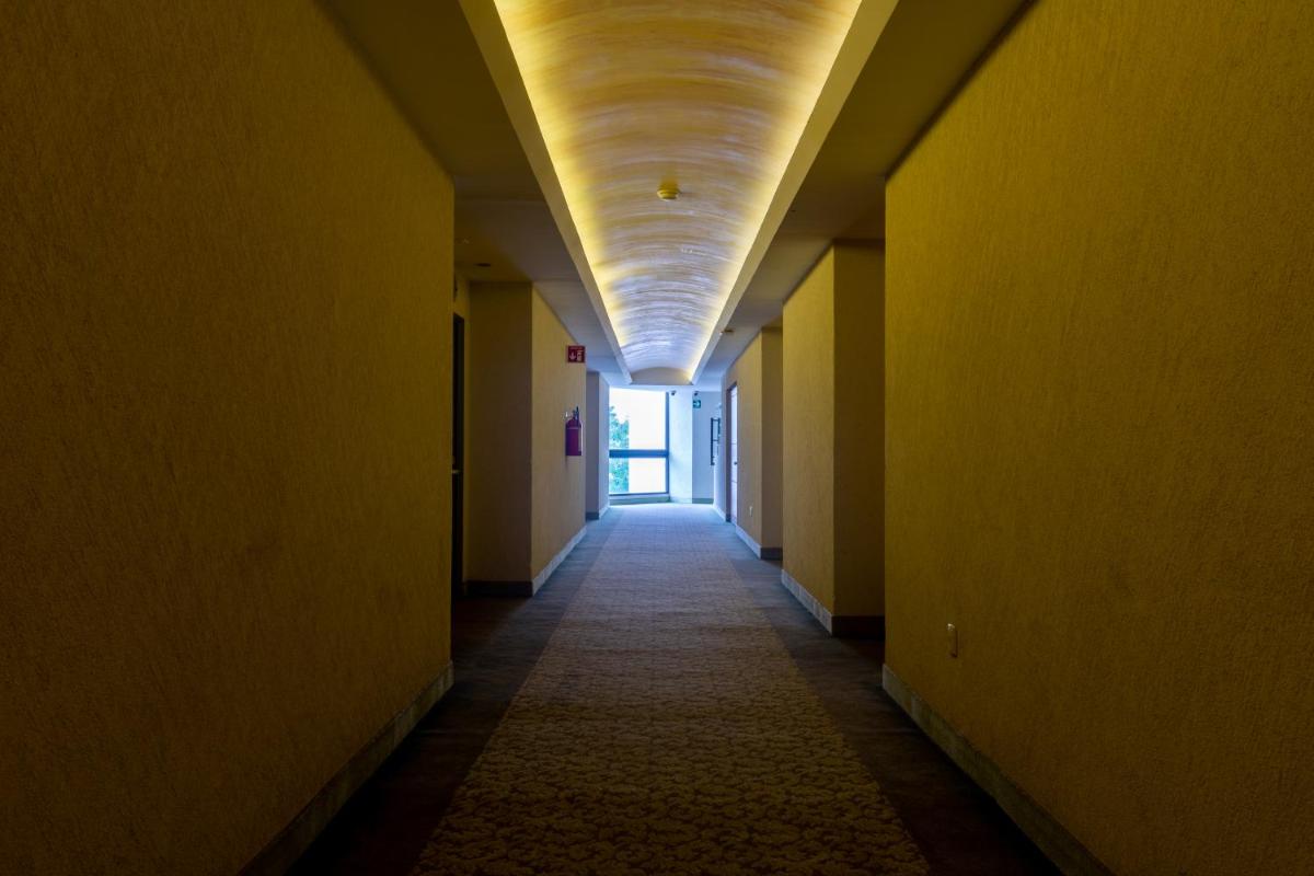 Hotel Flamingo Inn - Housity