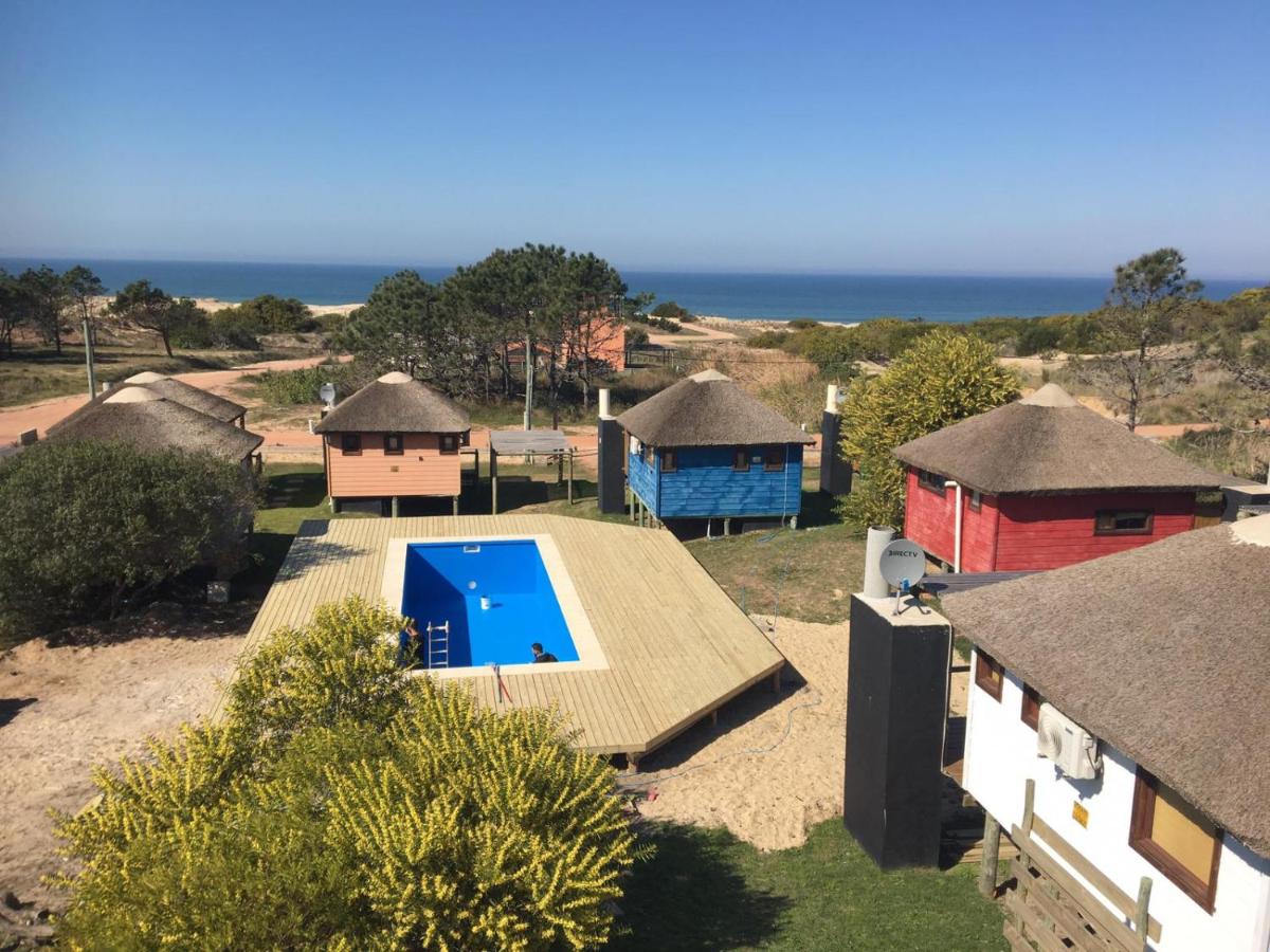 Delfin - Housity