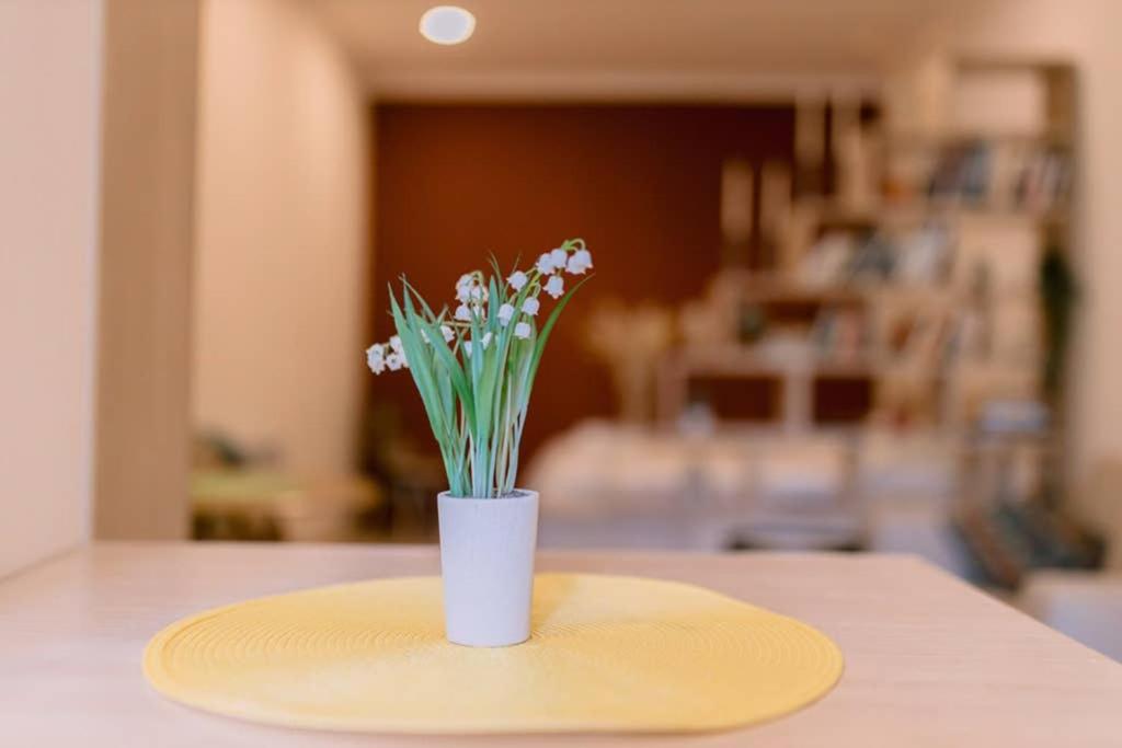 New Central Apartment in Gyumri - Housity