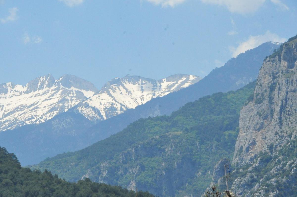 Guesthouse Papanikolaou - Housity