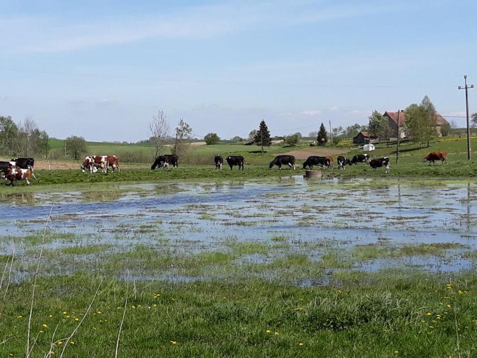 Miejsce Mocy Mazury - Housity