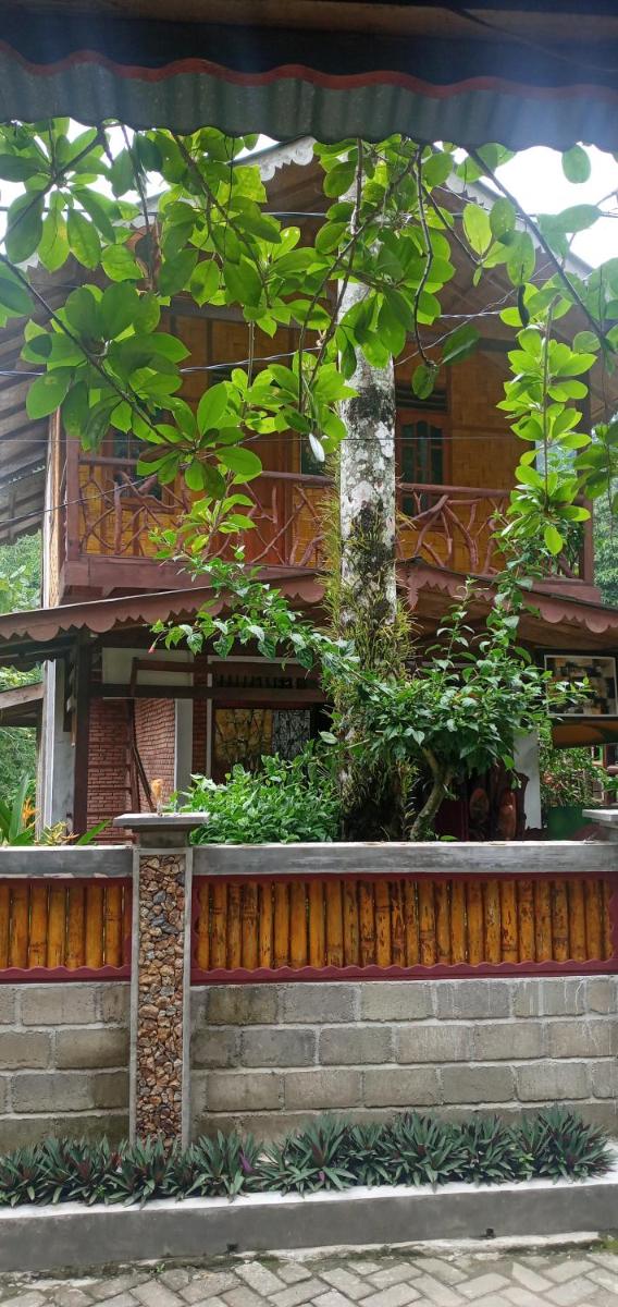 Eriono guest house Bukit lawang - Housity