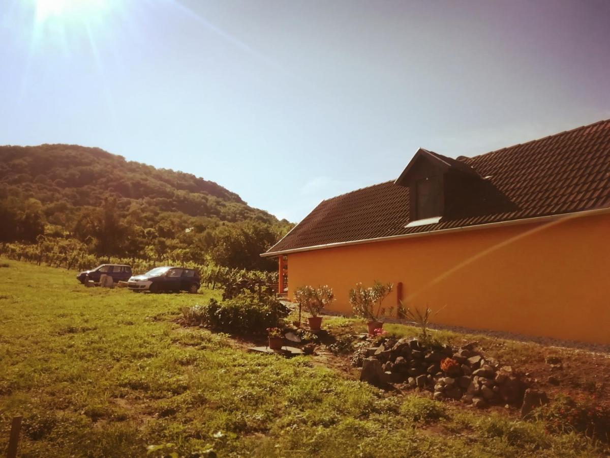 Kádárok Vendégháza a Somló-hegyen - Housity