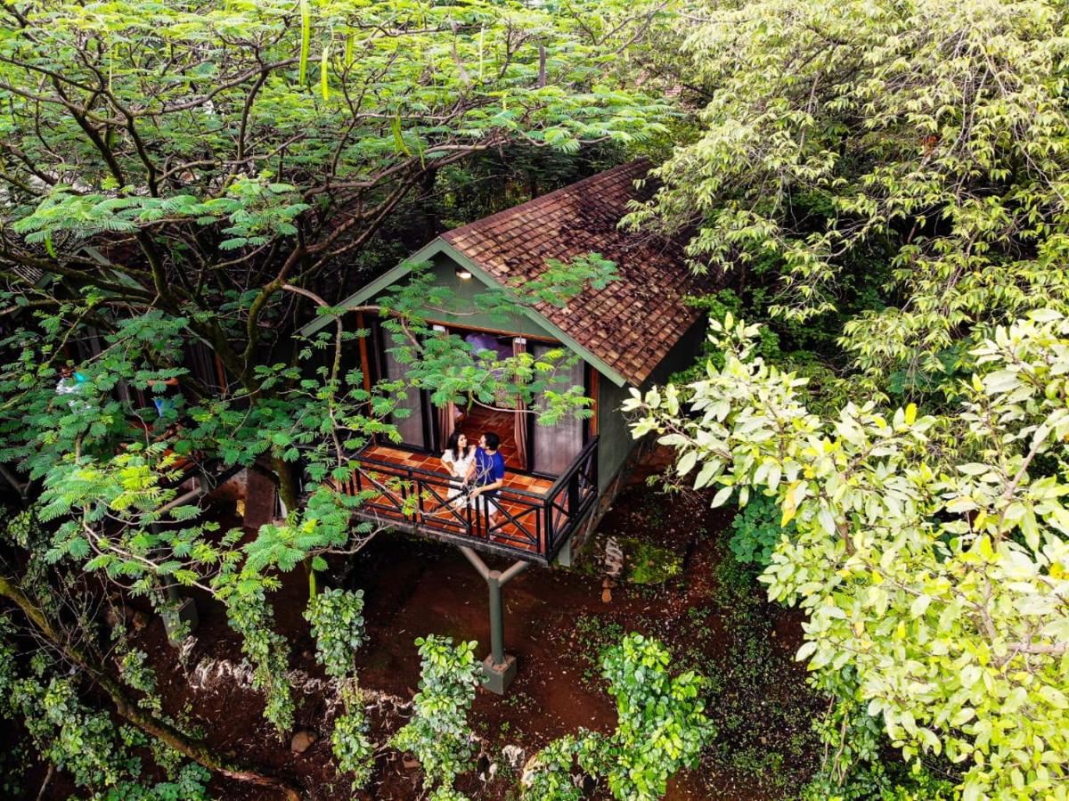 Anandvan Resort - Housity