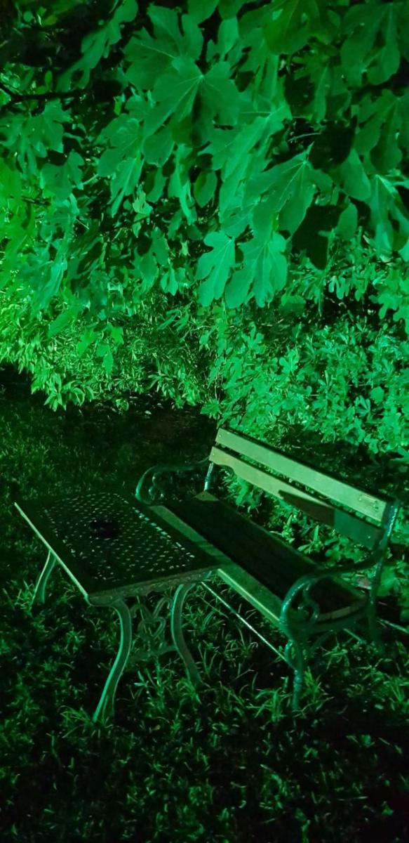 Naturist Angel Nudist Club  - Adults Only - Housity