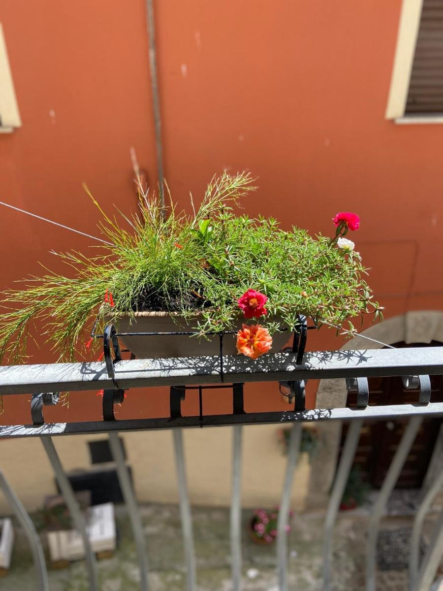 B&B Via Roma - Housity