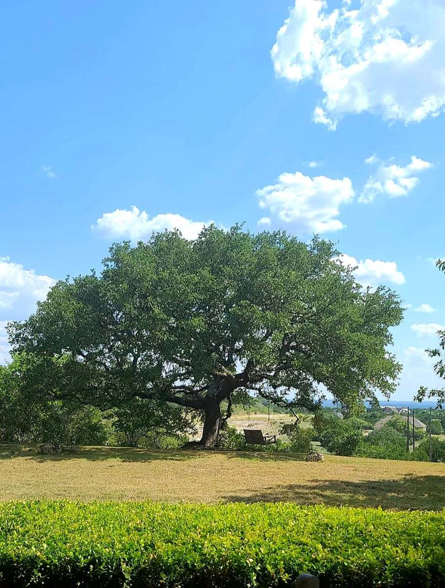 Hill Country Haute n Haus Relax and Renew - Housity