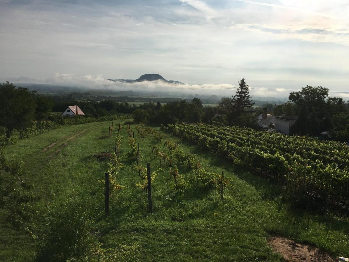 Ágnes almái Ágnes apples - Housity