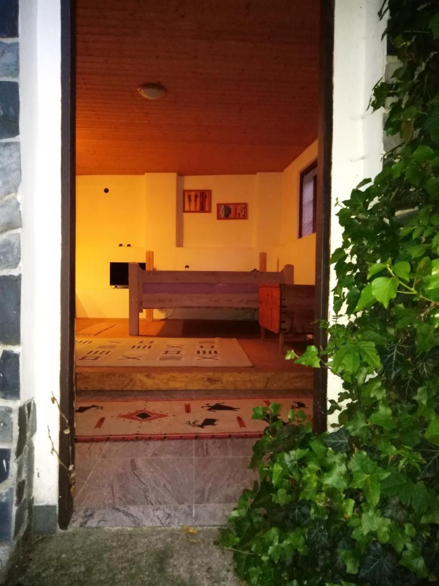 letní domek, koně, lezecká stěna, fitness, NOVĚ i možnost spaní nad hlavami koní!!! - Housity
