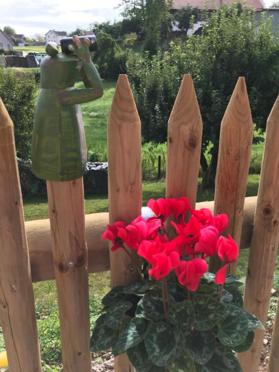 Ferienwohnung „Frosch“ - Housity