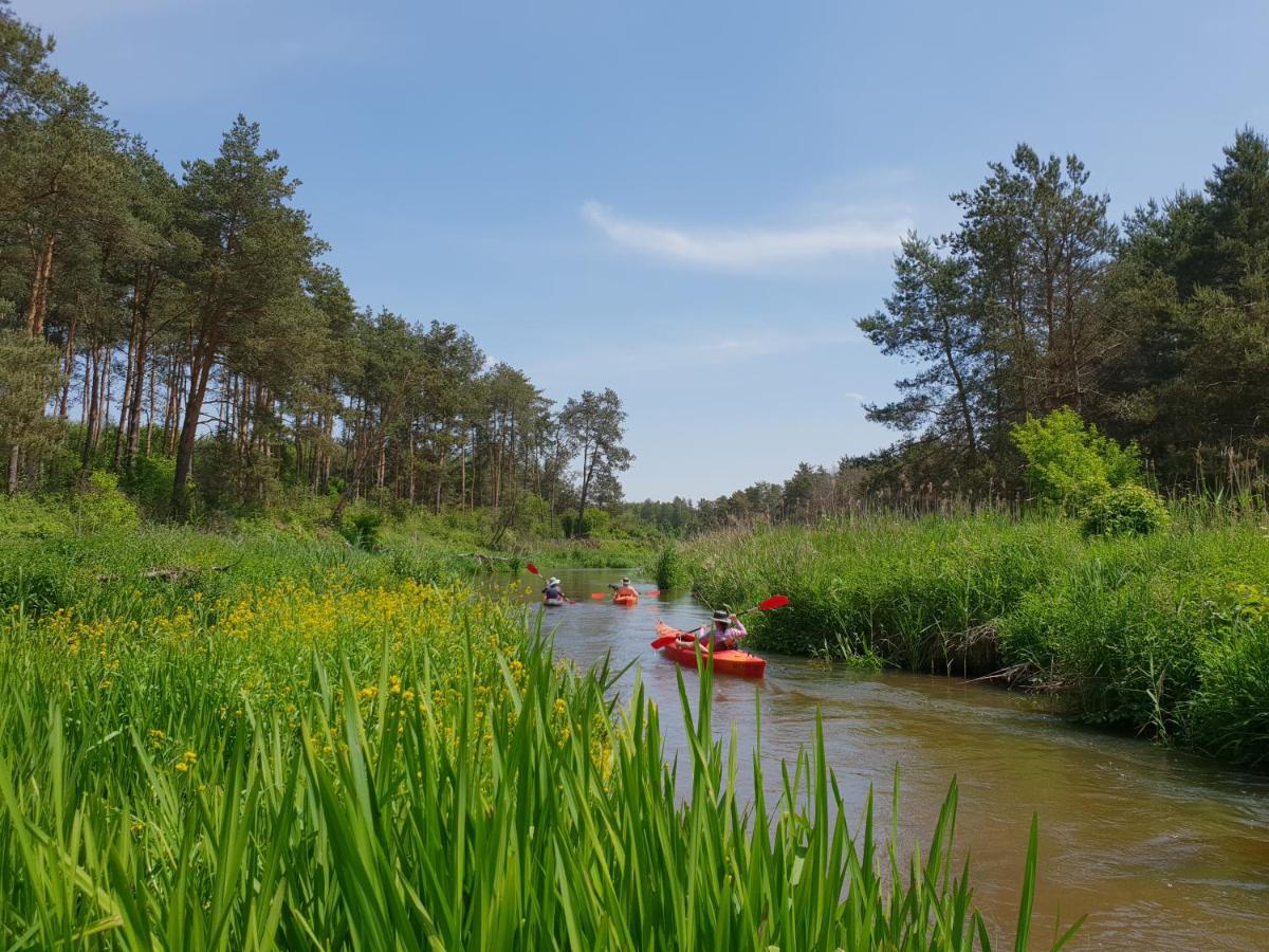 BOROWE KT - Housity