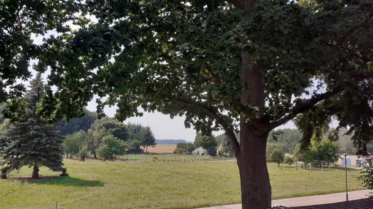 Ferienwohnung auf dem Land Mecklenburgische Seenplatte Müritz, ländliche Region - Housity
