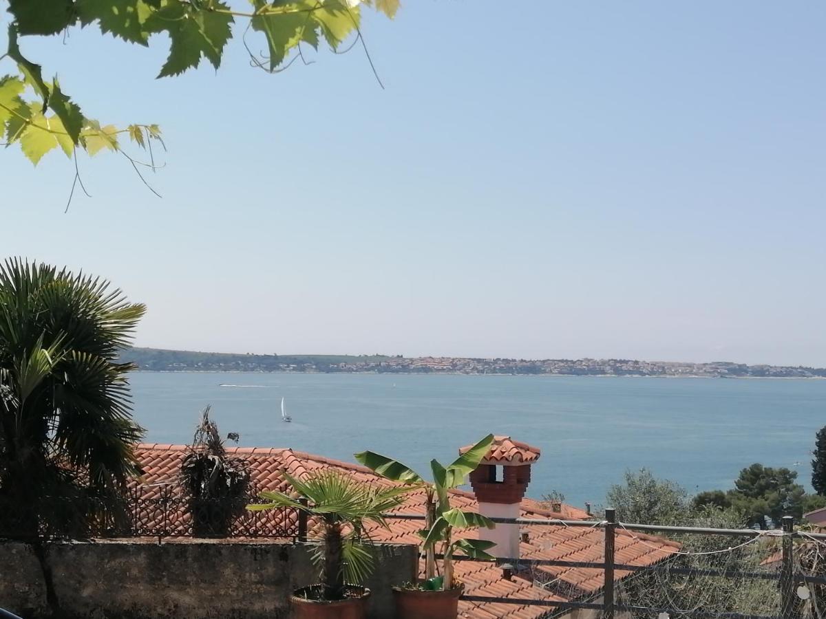 Apartma Gaia - Housity