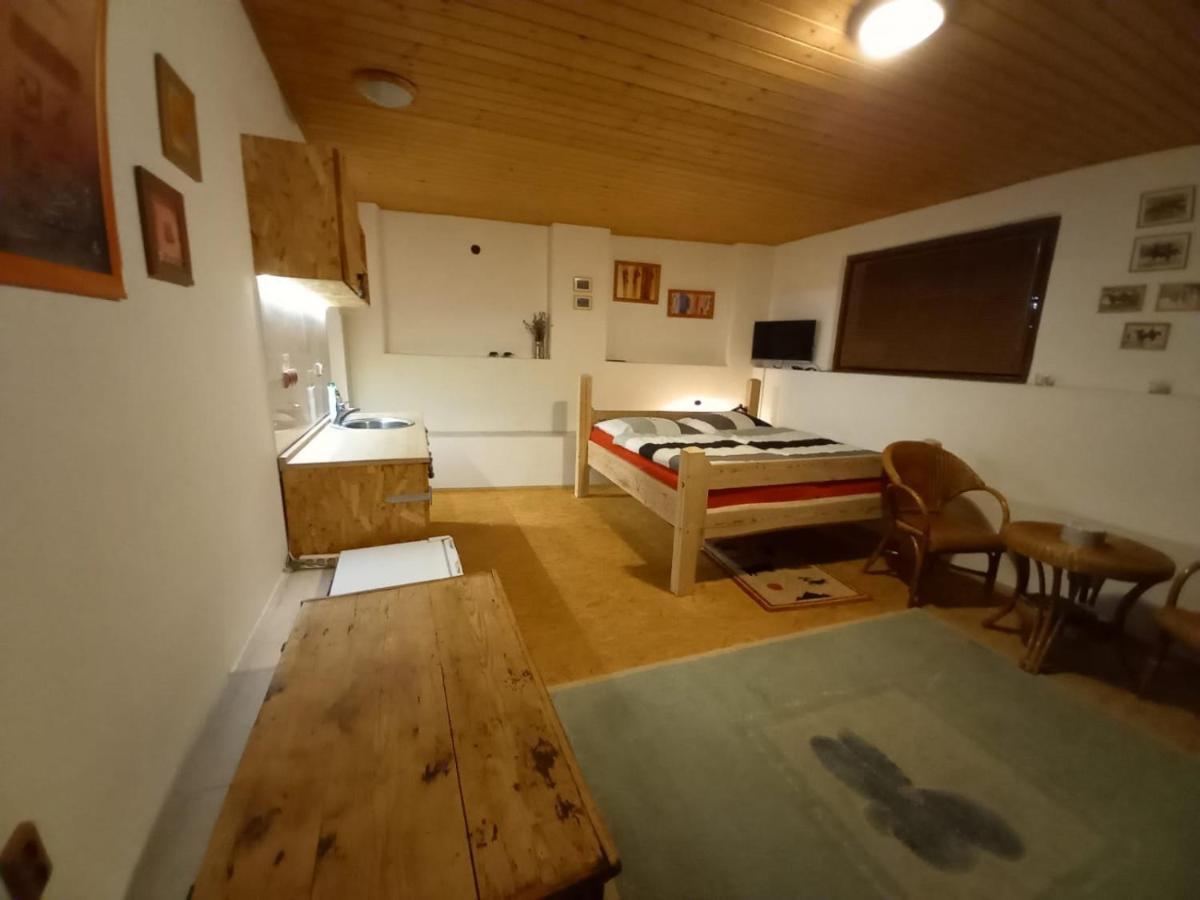 letní domek, koně, lezecká stěna, fitness, NOVĚ i možnost spaní nad hlavami koní!!! - Housity