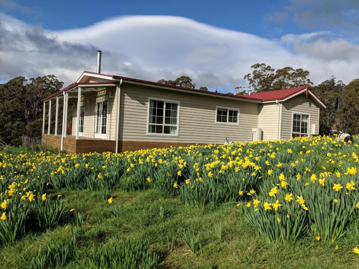 Mountain Blue Guest House - Housity