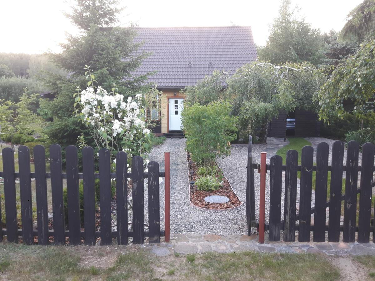 U Anusi w Borach - Housity