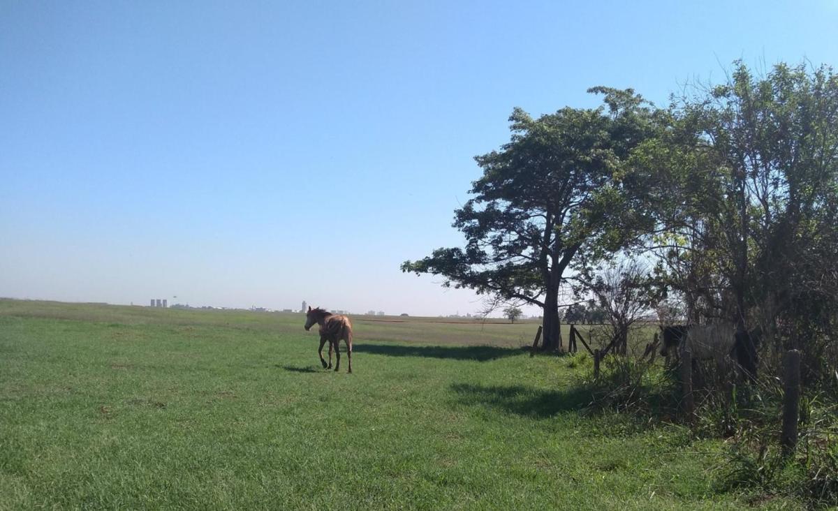 Suitetrails - Estancia Montagner
