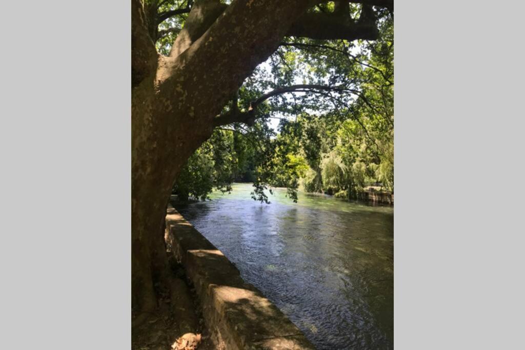 Appartement avec vue sur la Sorgue - Housity