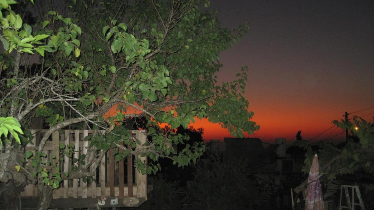 The House By The Mulberry Tree - Housity