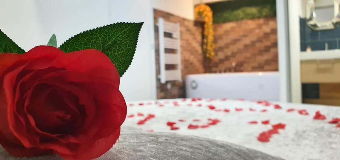 Love Rooms de la Presqu'île - Housity