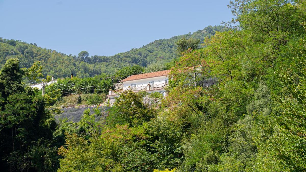tra Sole e Limoni Apartments - Housity