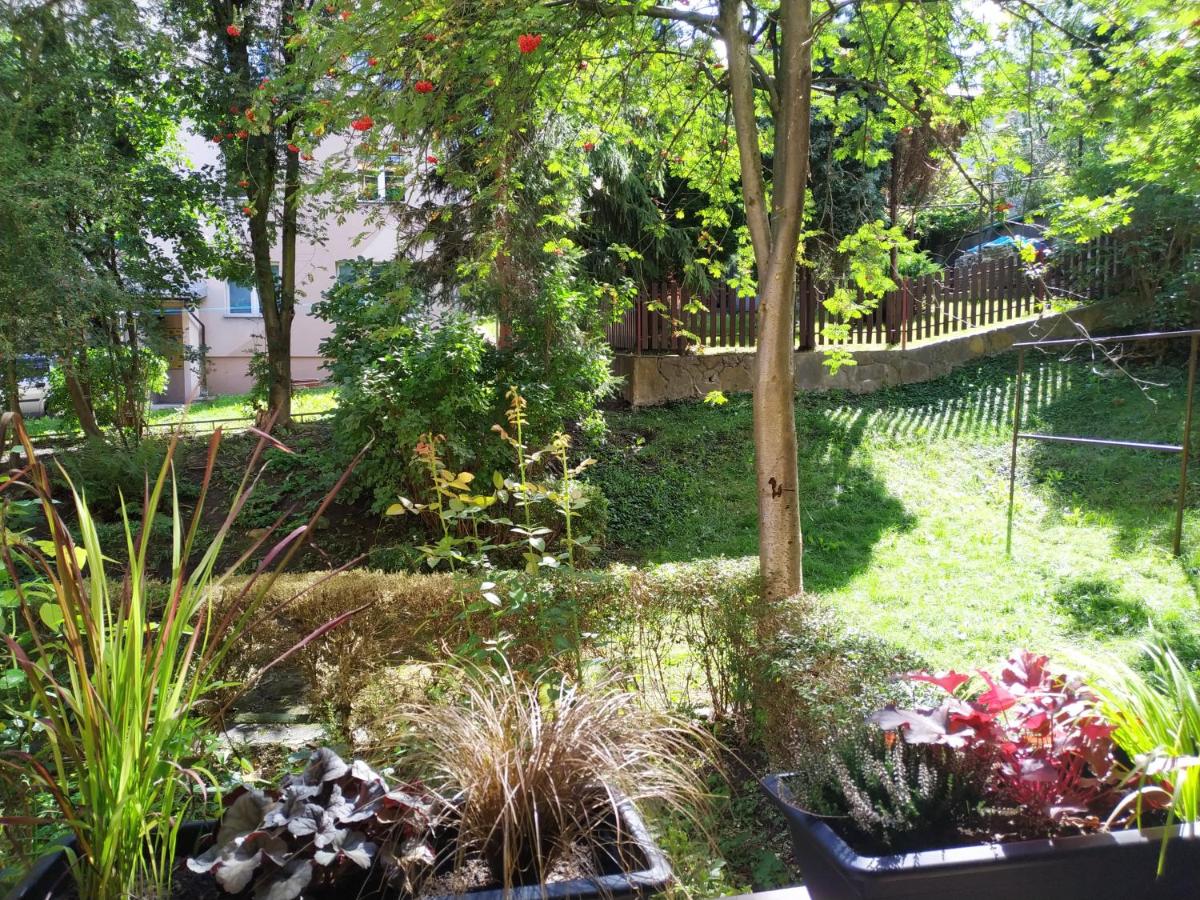 Apartament Skrytka - Housity