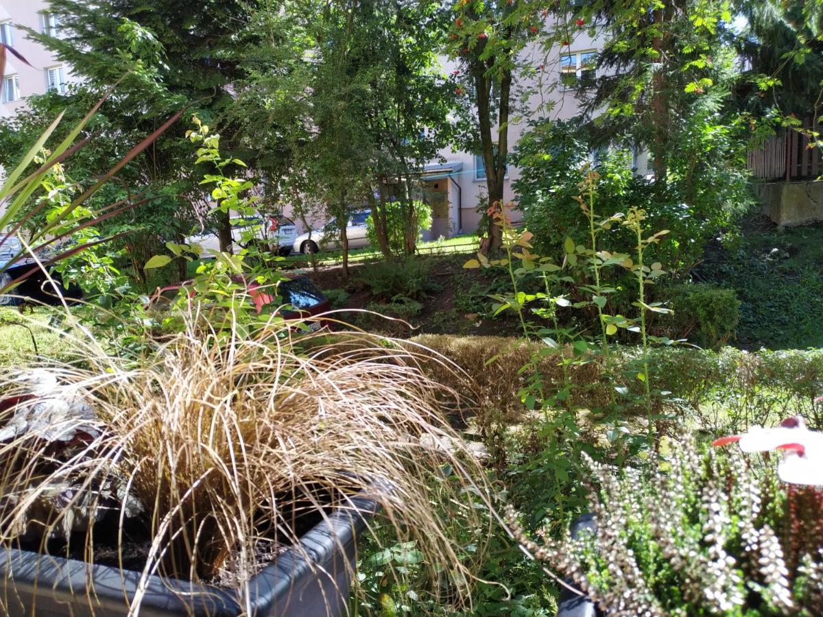 Apartament Skrytka - Housity