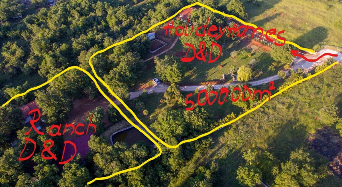 Holiday Homes D&D - Housity
