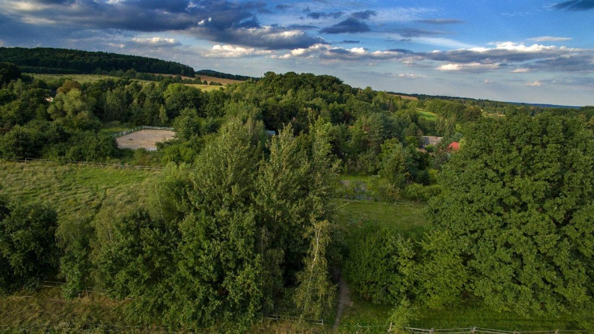 Ekoturystyka Nowina - Housity