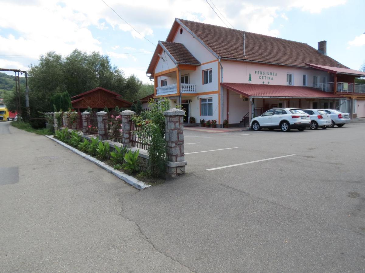 Pensiunea Cetina - Housity