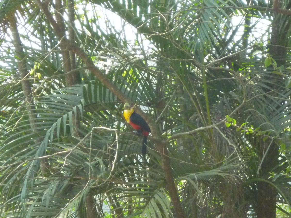 The Blue Mansion - Housity