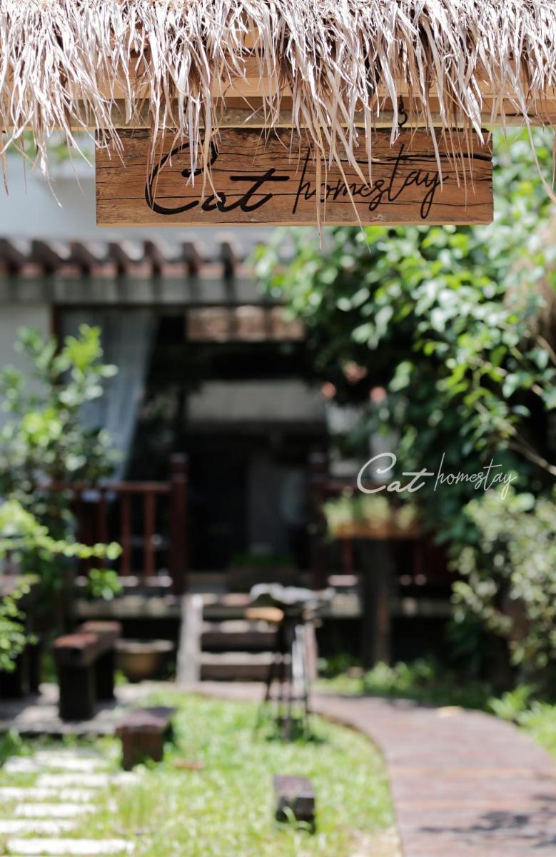 Cat Homestay - Housity