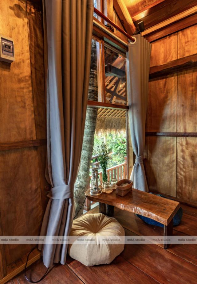 Cat Homestay - Housity