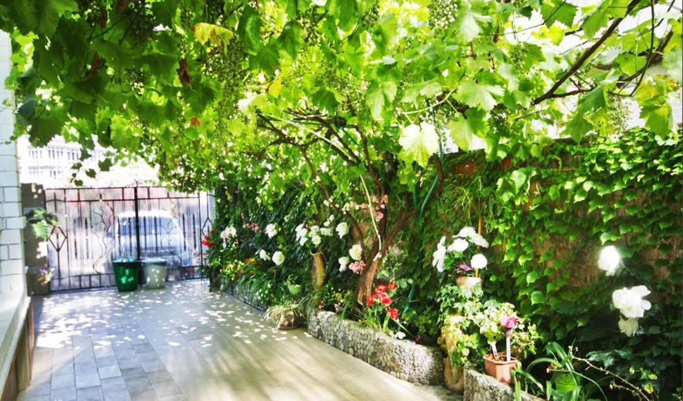 Suitetrails - Solyaris Guesthouse